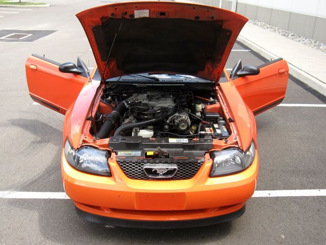 2004 Ford Mustang 2dr Coupe Premium - 22889634 - 30