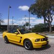 2005 Ford Mustang Best of Show - 21843764 - 16