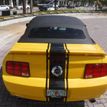 2005 Ford Mustang Best of Show - 21843764 - 43