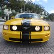 2005 Ford Mustang Best of Show - 21843764 - 91