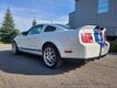 2008 Ford Mustang 2dr Coupe Shelby GT500 - 22088411 - 2