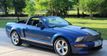 2008 Ford Mustang Shelby GT For Sale - 22398046 - 3