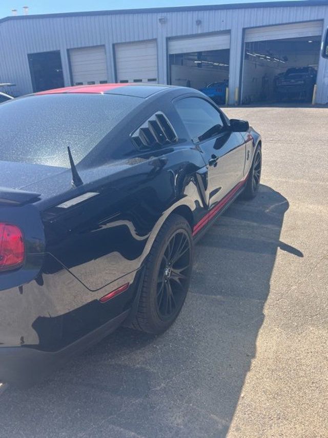 2010 Ford Mustang 2dr Coupe Shelby GT500 - 22802284 - 6
