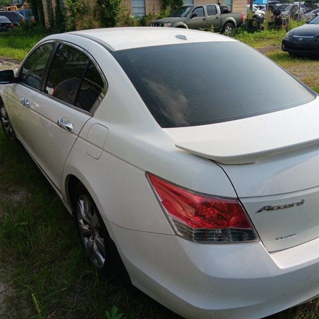 2010 Honda Accord Sedan 4dr V6 Automatic EX-L - 22893456 - 1