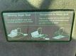 2011 Honda Odyssey Touring - 22801595 - 48