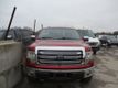 2013 Ford F-150 2013 Ford F-150 - 22362773 - 0