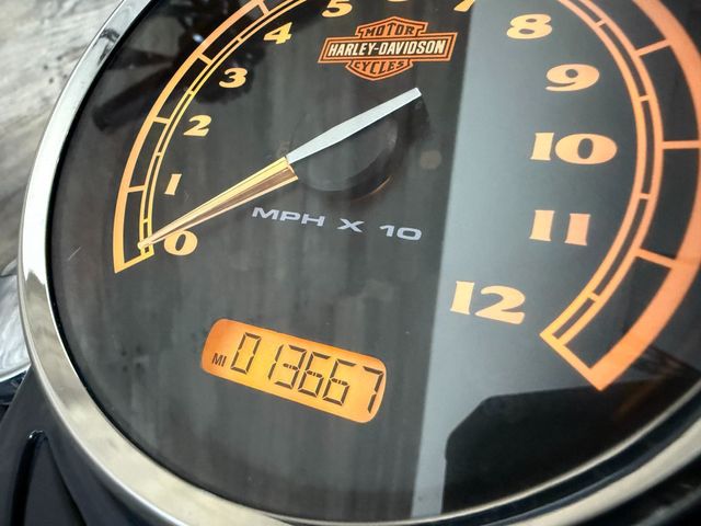 2013 Harley-Davidson FLS Softail Slim Custom! - 22940002 - 9