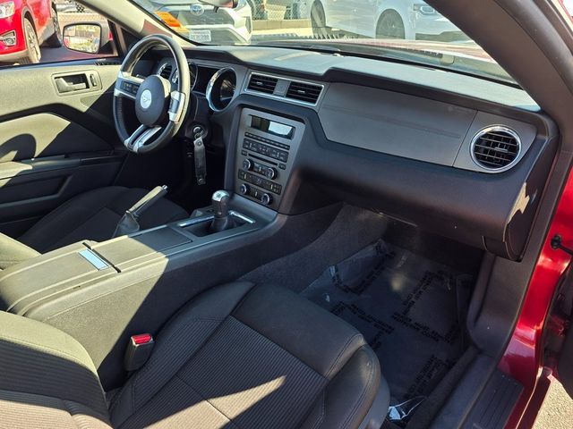 2014 Ford Mustang 2dr Coupe GT - 22936390 - 8