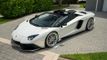 2014 Lamborghini Aventador 2dr Convertible 50th Anniversario - 22875851 - 24