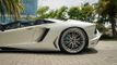 2014 Lamborghini Aventador 2dr Convertible 50th Anniversario - 22875851 - 29