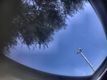 2014 Toyota Sienna XLE - 22907276 - 20