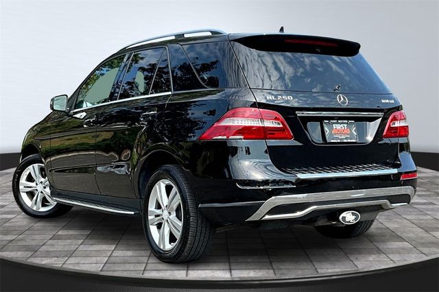 2015 Mercedes-Benz M-Class 4MATIC 4dr ML 250 BlueTEC - 22938405 - 6