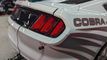 2016 Ford Mustang Cobra Jet FR500CJ Race Car For Sale - 22169210 - 15