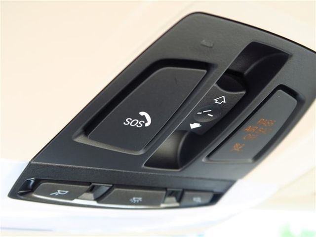 2017 BMW 3 Series 320i - 17046323 - 22