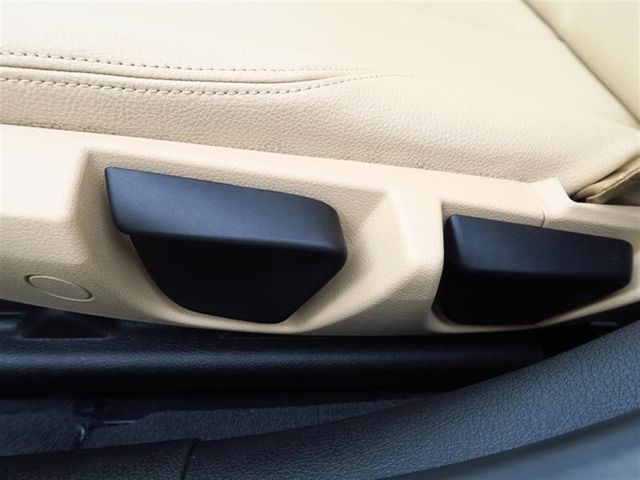 2017 BMW 3 Series 320i xDrive - 17042077 - 20