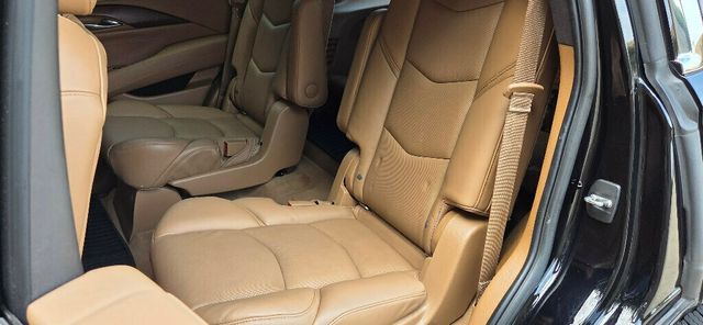 2017 Cadillac Escalade 4WD 4dr Platinum - 22910088 - 14
