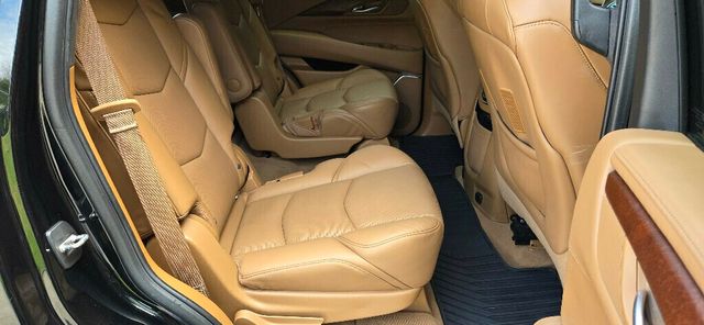 2017 Cadillac Escalade 4WD 4dr Platinum - 22910088 - 20