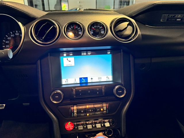 2017 Ford Mustang GT350/ElectronicsPkg/NAV/RecaroSeats/ActiveExhaust/BremboBrakes - 22913035 - 15