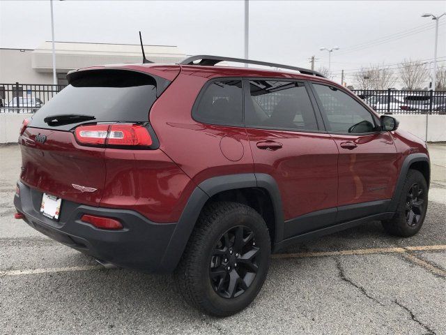 2017 Jeep Cherokee Trailhawk 4x4 - 18596628 - 3