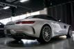 2018 Mercedes-Benz AMG GT *AMG GTC* *Roadster* *$187,130 MSRP* - 22933813 - 10