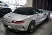 2018 Mercedes-Benz AMG GT *AMG GTC* *Roadster* *$187,130 MSRP* - 22933813 - 48