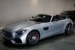 2018 Mercedes-Benz AMG GT *AMG GTC* *Roadster* *$187,130 MSRP* - 22933813 - 4