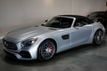 2018 Mercedes-Benz AMG GT *AMG GTC* *Roadster* *$187,130 MSRP* - 22933813 - 6