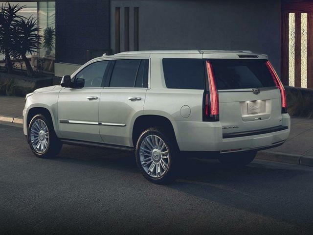 2019 Cadillac Escalade 4WD 4dr Platinum - 22939679 - 0