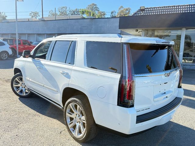 2019 Cadillac Escalade 4WD 4dr Premium Luxury - 22937116 - 6