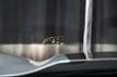 2019 Chevrolet Corvette *Z06 3LZ* *Z07-Performance Package* *Massive $119k+MSRP* - 22855713 - 53