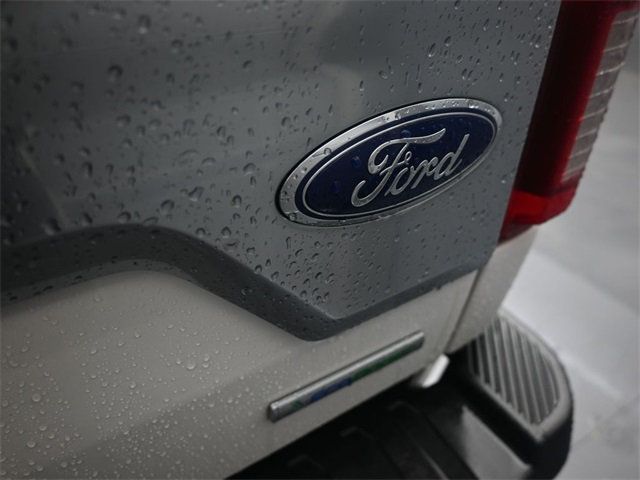 2019 Ford F-150 Platinum - 22885389 - 37