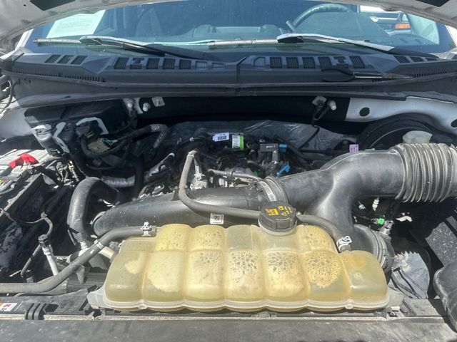 2019 Ford F-150 SUPERCREW - 22926783 - 15
