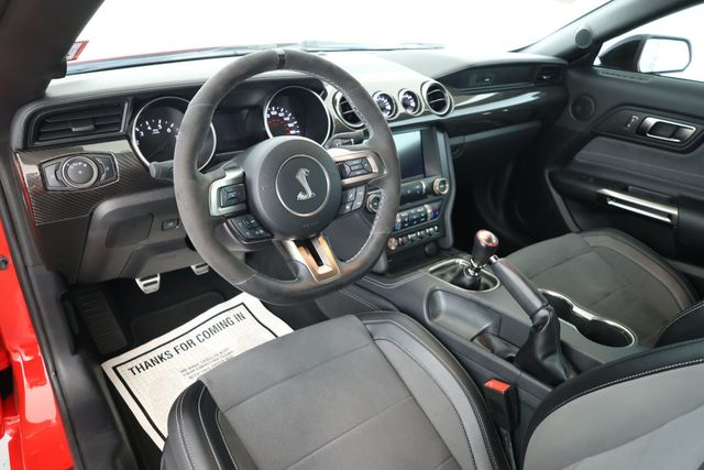 2019 Ford Mustang Shelby GT350 Fastback w/ Electronics & Handling Packages - 22918607 - 9