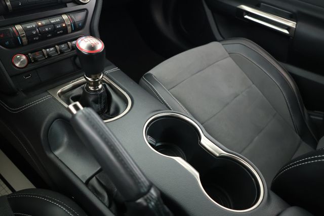 2019 Ford Mustang Shelby GT350 Fastback w/ Electronics & Handling Packages - 22918607 - 13