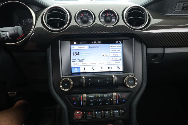 2019 Ford Mustang Shelby GT350 Fastback w/ Electronics & Handling Packages - 22918607 - 14