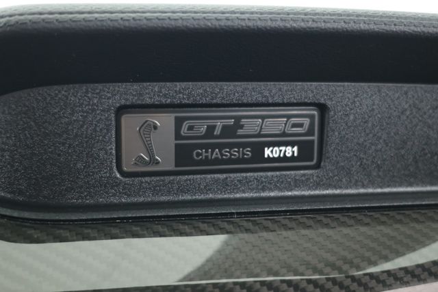 2019 Ford Mustang Shelby GT350 Fastback w/ Electronics & Handling Packages - 22918607 - 20