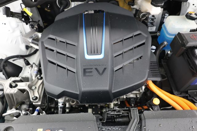 2019 Hyundai Kona Electric Ultimate - 22939354 - 22