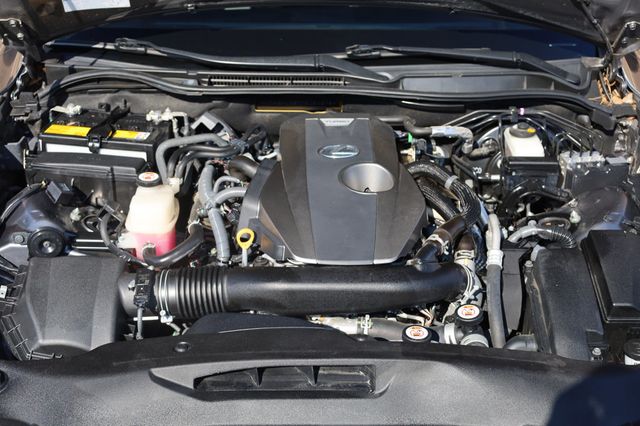 2019 Lexus IS IS 300 RWD - 22878504 - 11