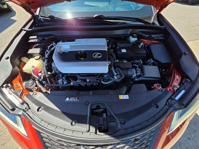 2019 Lexus UX UX 200 F SPORT FWD - 22913425 - 52