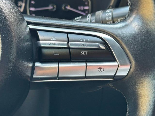 2019 Mazda Mazda3 5-Door AWD Automatic w/Premium Pkg - 22894101 - 29
