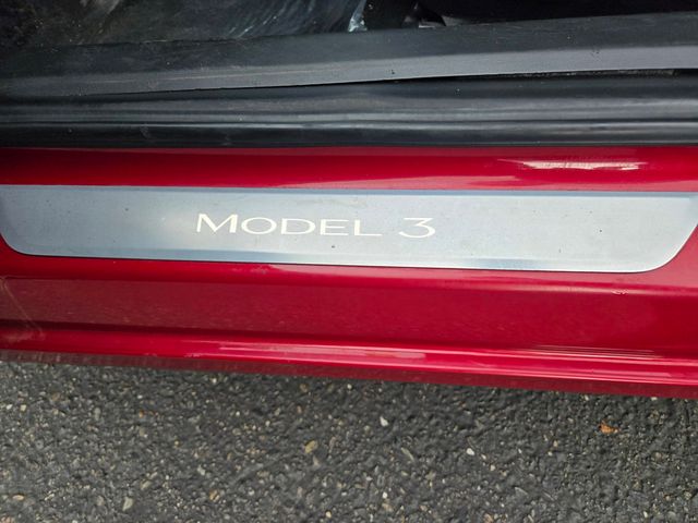 2019 Tesla Model 3  - 22931882 - 25