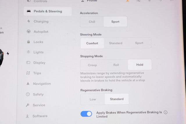 2019 Tesla Model 3 Long Range AWD - 21751137 - 21