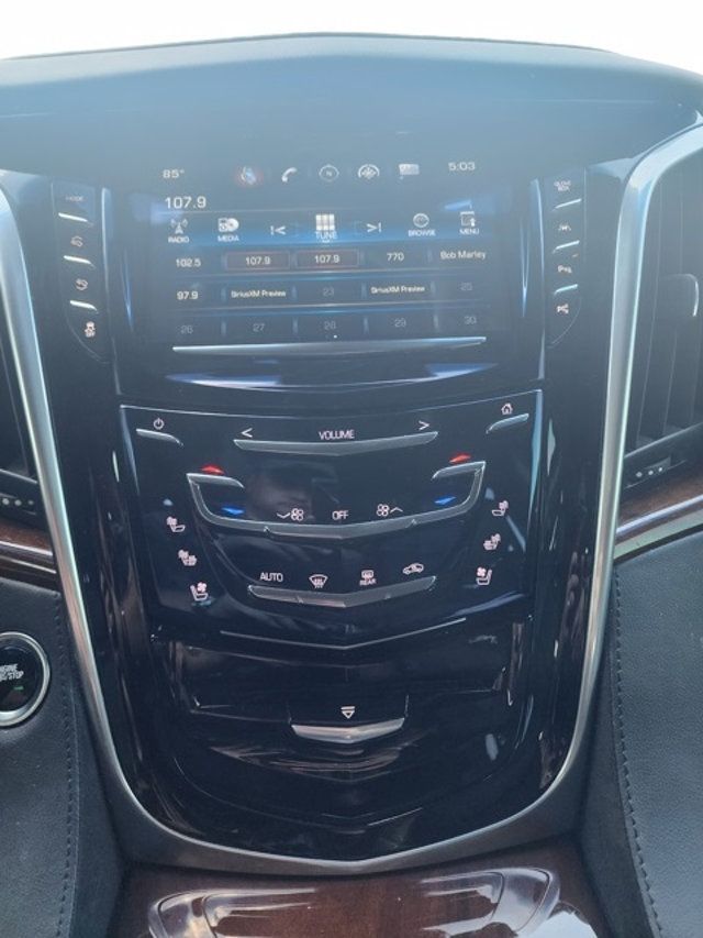 2020 Cadillac Escalade 4WD 4dr Premium Luxury - 22931239 - 16