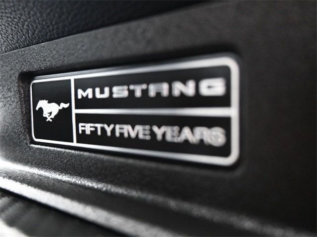 2020 Ford Mustang EcoBoost Fastback - 22930323 - 12
