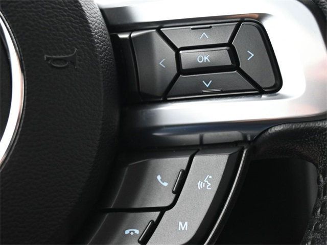 2020 Ford Mustang EcoBoost Fastback - 22930323 - 20
