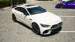 2020 Mercedes-Benz AMG GT AMG GT 63 S 4-Door Coupe - 22849846 - 8