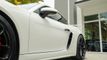 2020 Porsche 718 Cayman GT4 Coupe - 22875819 - 16