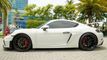 2020 Porsche 718 Cayman GT4 Coupe - 22875819 - 19