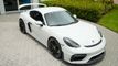 2020 Porsche 718 Cayman GT4 Coupe - 22875819 - 8