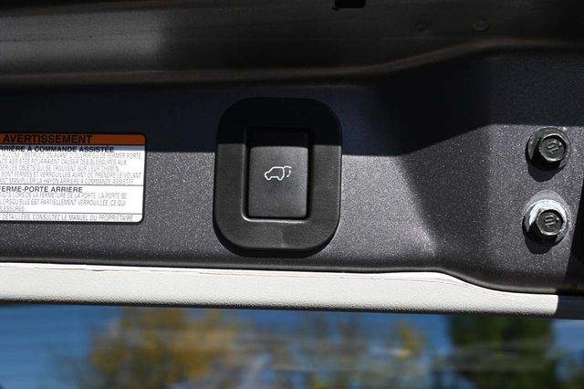 2020 Toyota Sienna XLE Premium FWD 8-Passenger - 22939146 - 25